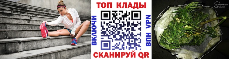 МЕФ Алексеевка