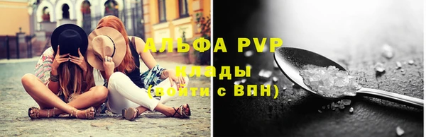 тгк Дмитров