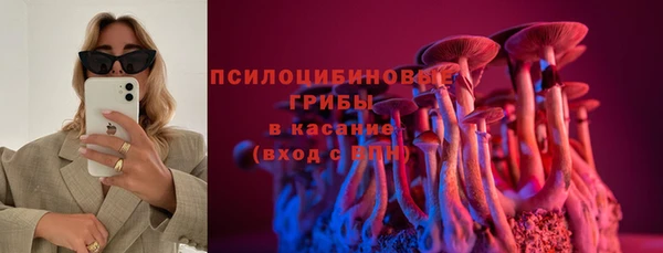 мяу мяу мука Дмитриев