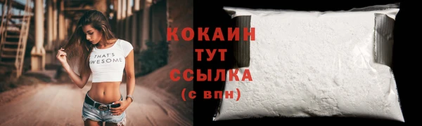 мяу мяу мука Дмитриев