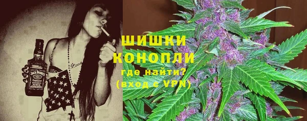 мяу мяу мука Дмитриев