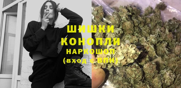тгк Дмитров