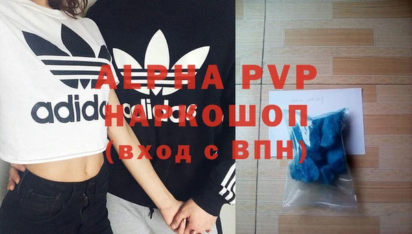 мяу мяу мука Дмитриев
