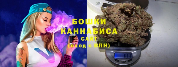 мяу мяу мука Дмитриев