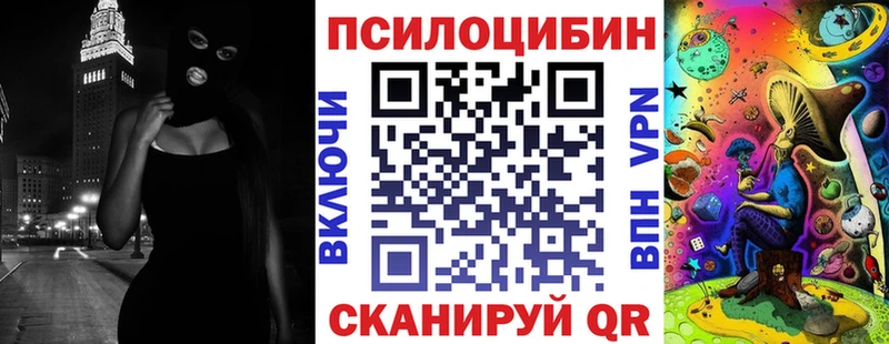 Псилоцибиновые грибы Psilocybe Алексеевка